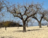 Вторичное жилье - Земельный участок - Bullas - Costa Cálida