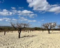 Вторичное жилье - Земельный участок - Murcia - Costa Cálida