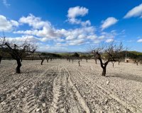 Вторичное жилье - Земельный участок - Murcia - Costa Cálida