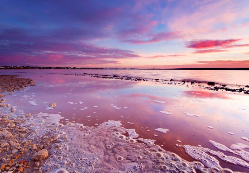 В Торревьеха будет проходить второй концерт парковой музыки 