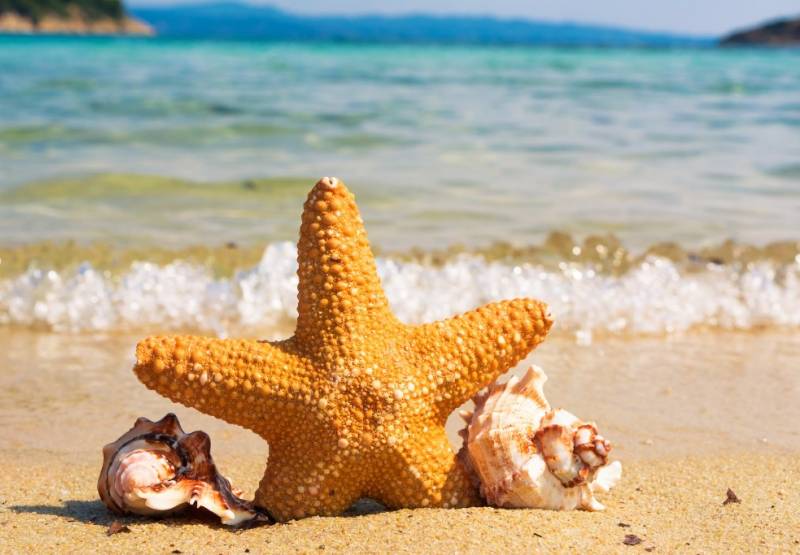 Знаете ли вы наши свойства новостройки Коста Бланка?