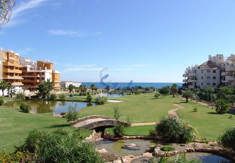 ​Rent an apartment in Punta Prima, Costa Blanca, Spain