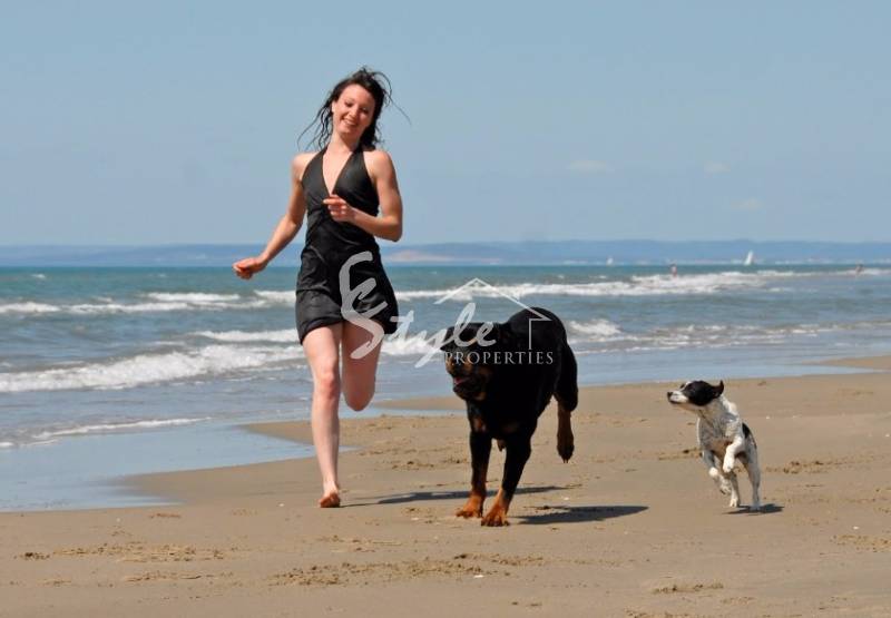 ​New dog-friendly beach opens in Santa Pola