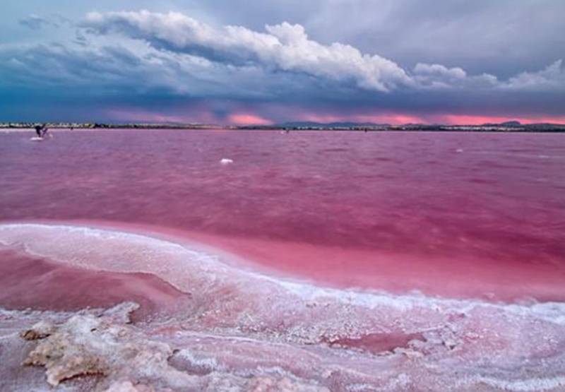 The salt lakes of Torrevieja, a gem of the city