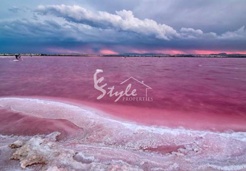 Las salinas de Torrevieja, una joya en plena ciudad