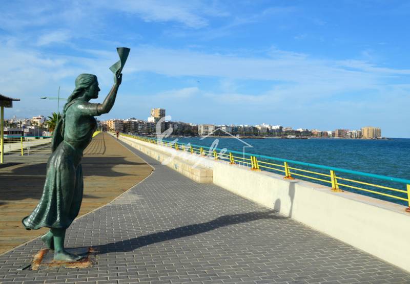 Things to Do in Torrevieja, Costa Blanca this summer