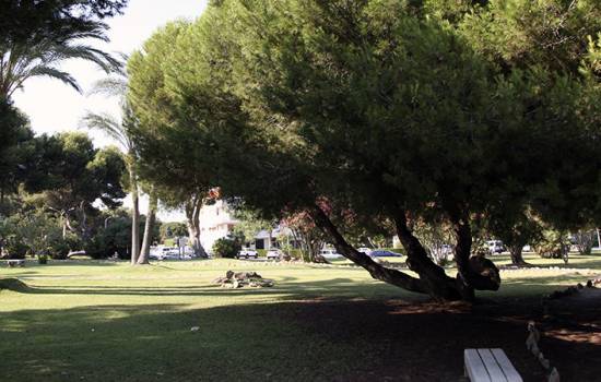 Nuevas mejoras en el parque infantil de Campoamor