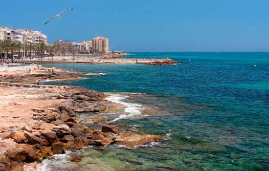 ​Las Cortes Valencianas aprueban el desdoblamiento de la carretera Orihuela-Torrevieja