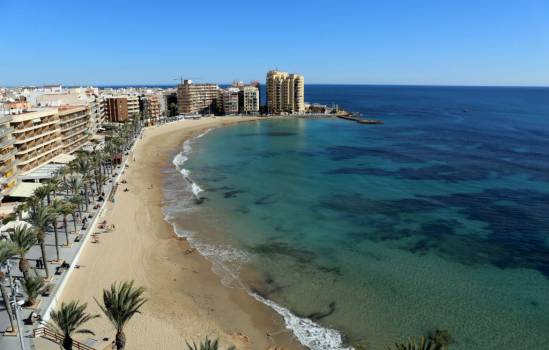 Palmeras inteligentes en las playas de Torrevieja para cargar el móvil