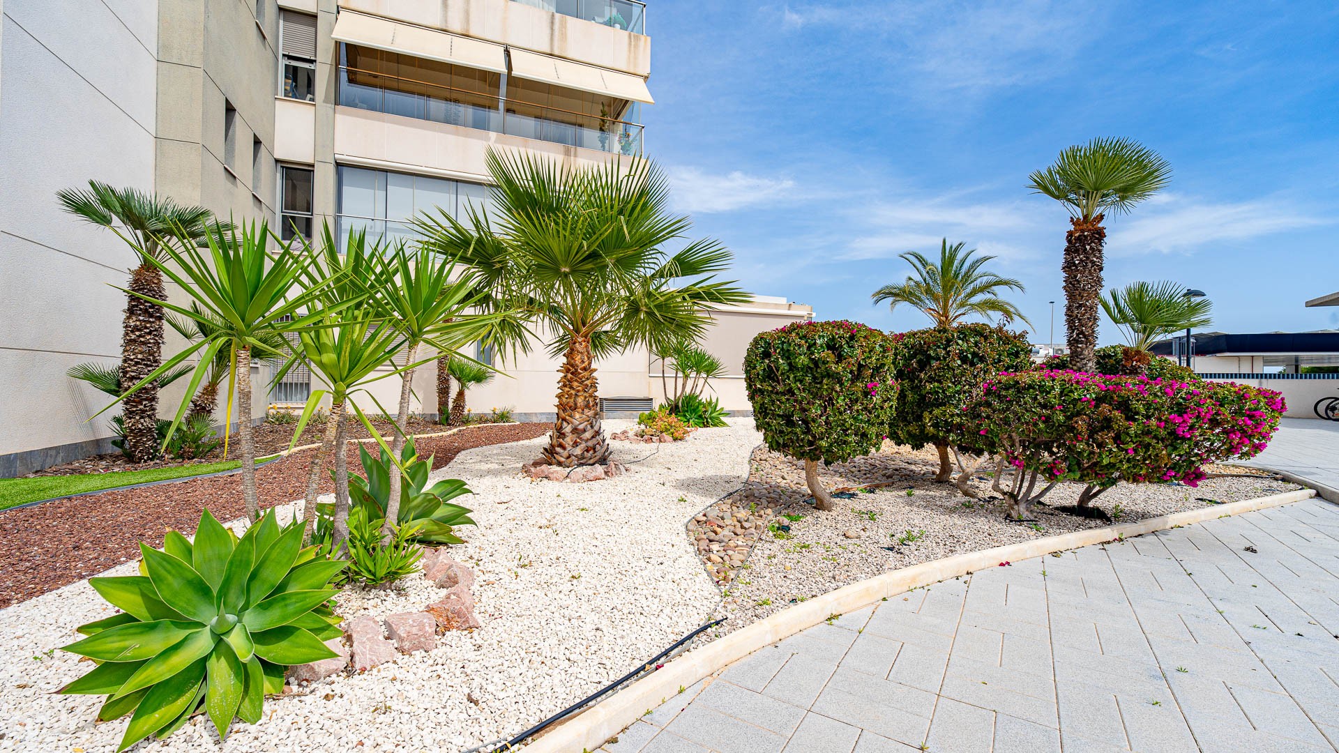 House in Los Dolses - view 1
