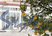 Resale - Bungalow - Orihuela Costa  - Playa Flamenca