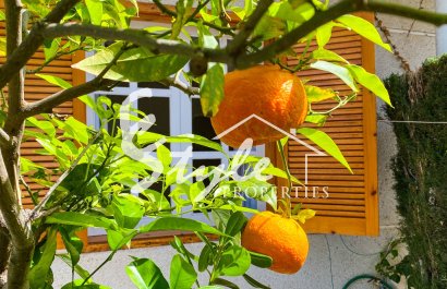 Вторичное жилье - Апартаменты/Квартира - Пунта Прима