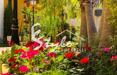 Аренда - Апартаменты/Квартира - Пунта Прима - Панорама Парк