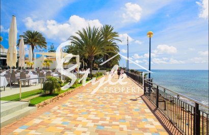 Short Term Rentals - Apartment - Punta Prima - Rocio del Mar