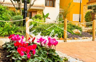 Alquiler corta estancia - Apartamento - Punta Prima - La Recoleta