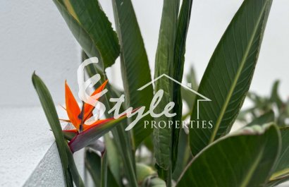 Вторичное жилье - Вилла - Торревьеха - Лос Балконес