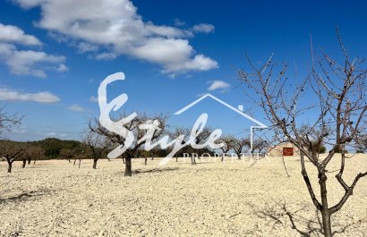 Reventa - Parcela - Bullas - Costa Cálida