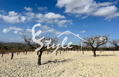 Reventa - Parcela - Bullas - Costa Cálida