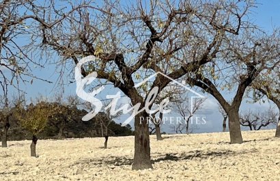 Reventa - Parcela - Bullas - Costa Cálida