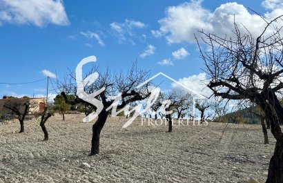 Reventa - Parcela - Bullas - Costa Cálida