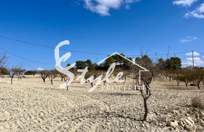 Reventa - Parcela - Bullas - Costa Cálida