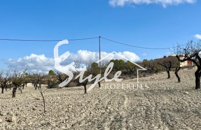 Reventa - Parcela - Bullas - Costa Cálida