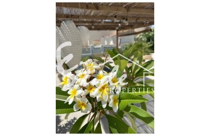 Вторичное жилье - Вилла - Торревьеха - San luis