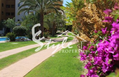 Вторичное жилье - Апартаменты/Квартира - Пунта Прима - La Entrada