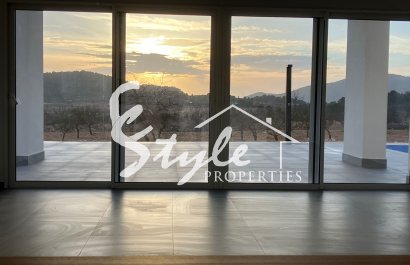 New build - Villa - Alicante - Pinoso