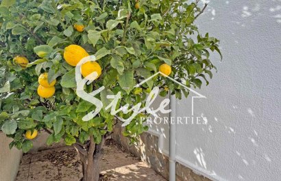 Вторичное жилье - Semi - Detached Villa - Сан Мигель де Салинас - San Miguel De Salinas