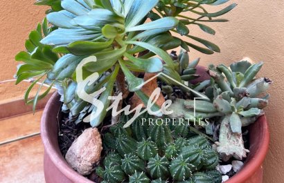 Вторичное жилье - Apartamento - Пунта Прима