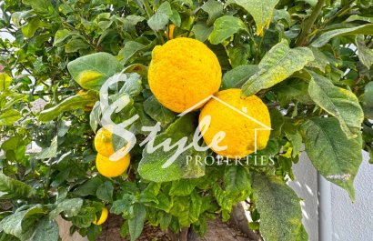 Вторичное жилье - Semi - Detached Villa - Сан Мигель де Салинас - San Miguel De Salinas