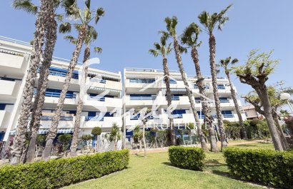 Вторичное жилье - Apartamento - Плайя Фламенка - Playa Flamenca