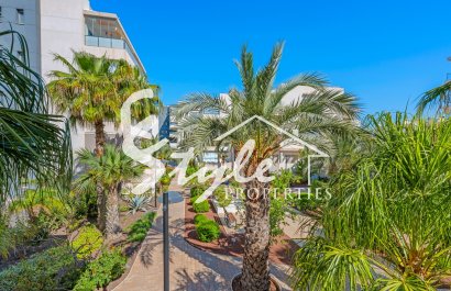 Reventa - Apartamento - Villamartín - Los Dolses
