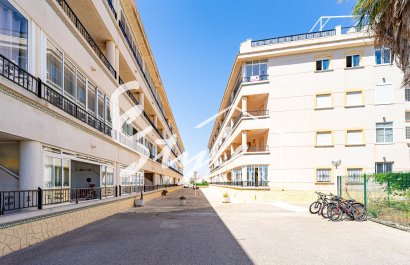 Short Term Rentals - Apartament  - Playa Flamenca