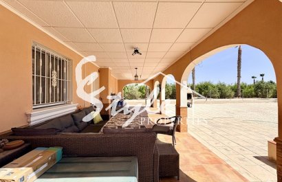 Reventa - Finca - Alicante - Dolores