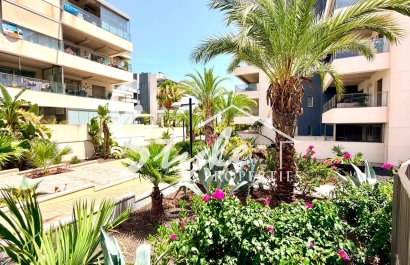 Reventa - Apartamento - Orihuela-Costa - La Zenia