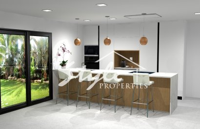 New build - Villa - Alicante - Pinoso