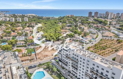 Вторичное жилье - Квартира - Кампоамор - Campoamor
