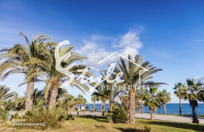 Вторичное жилье - Квартира - Плайя Фламенка - Playa Flamenca