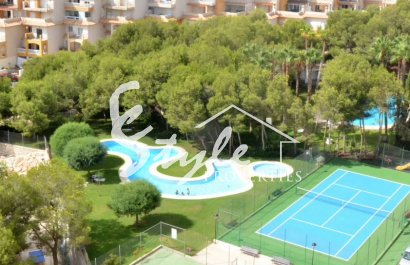 Reventa - Apartamento - Campoamor