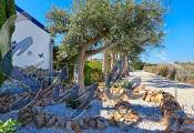 Resale - Finca Country Property - Crevillente