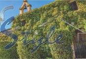 Reventa - Country Property/Finca - Porto Cristo - Manacor