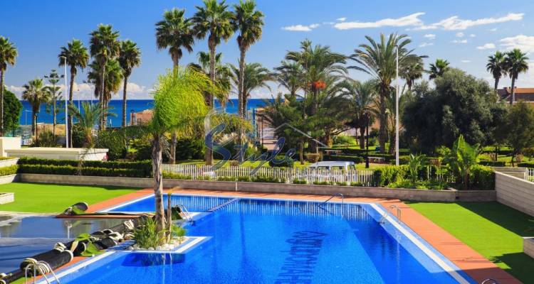 Resale - Apartment - La Mata