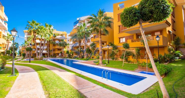 Alquiler corta estancia - Apartamento - Punta Prima - La Recoleta