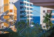 Alquiler corta estancia - Apartamento - Punta Prima - La Recoleta