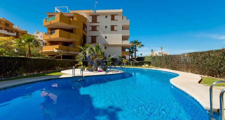 Alquiler corta estancia - Apartamento - Punta Prima - La Recoleta