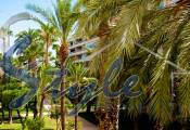 Reventa - Apartamento - Torrevieja  - Torrevieja