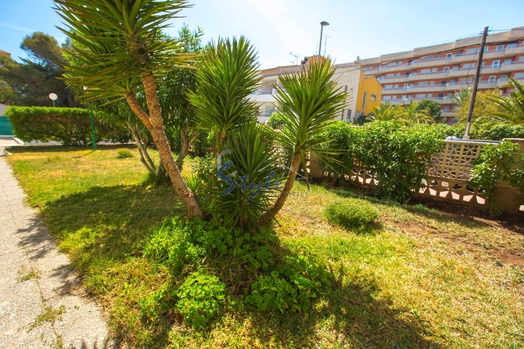 Resale - Apartment - Punta Prima - Rocio del Mar