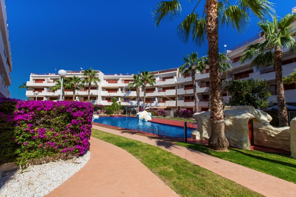 Reventa - Apartamento - Playa Flamenca